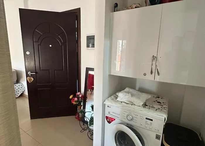 Vacattion 1 סרנדה